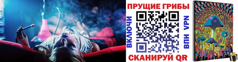 OMG как войти  Сафоново  Псилоцибиновые грибы Cubensis 